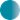 Petrol